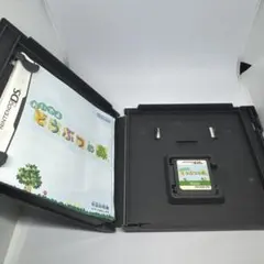 おいでよ どうぶつの森 ニンテンドーDS