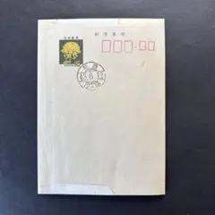 ミニレター（郵便書簡）未使用新品 41枚 Ｔポイント消化 NXEDGE STYLE ネクスエッジスタイル ウイングガンダムゼロ（ＥＷ版