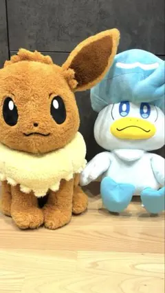 ピカピカボックス　イーブイ クワッス ぬいぐるみ