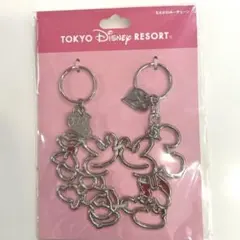 東京ディズニーリゾート ちえのわキーチェーン