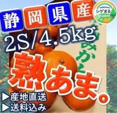 熟あま。みかん☘️✨2S-4.5kg