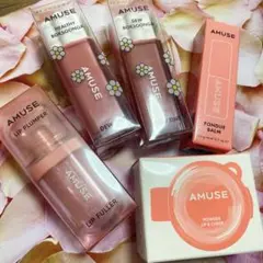 AMUSE プランパー&リップ&チーク　5点セット