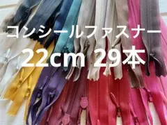 コンシールファスナー 22cm 29本 YKK