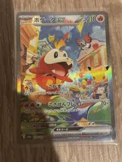 ポケモンカード ホゲータex SAR