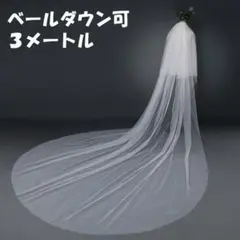 ◇ロングベール 2層 ウエディング 結婚式 ベールダウン 2層 レース1705