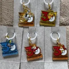 ポケットモンスター ポケチャーム 30周年 ロゴマスコット2
