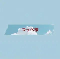 つっぺ様専用ページ