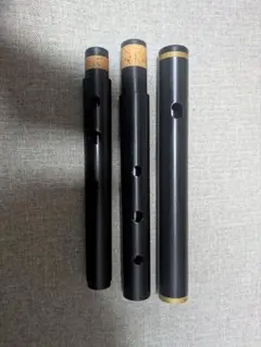 Item thumbnail for item 5acf6a69-fbd4-4f66-84e7-f1abec239368