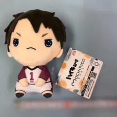 ハイキュー‼︎ もちもちマスコットたっち 牛島若利 - メルカリ