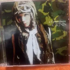 Acid Black Cherry CRISIS マグネット - メルカリ