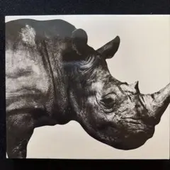 Mr.Children 1992-1995 ベストアルバム CD