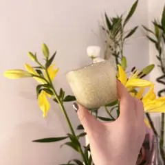 tofmofu トフモフ グラスフードボウル ペット 食器 ガラス フード皿 猫