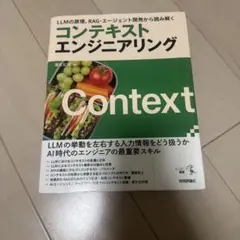 コンテキストエンジニアリング LLMの原理、RAG・エージェント開発