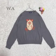 チチカカ ニット