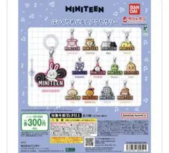 か*ん様 SEVENTEEN MINITEEN ぷっくりめじるしアクセサリー コ