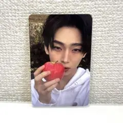 ENHYPEN THE SIN: VANISH ソヌトレカ