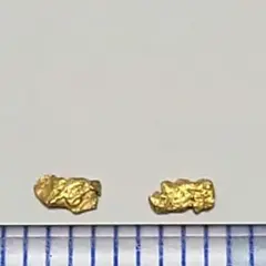 砂金 自然金 天然砂金 金 GOLD - メルカリ