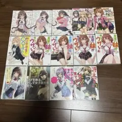 パ*郎様 ライトノベル まとめ売り 14巻セット