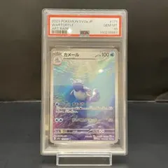 2025年最新】psa10 かめーるの人気アイテム - メルカリ