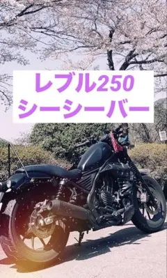 マッドブラックシーシーバー ワンオフ品 2026年最新】ワンオフ シーシーバーの人気アイテム - メルカリ