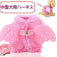 Item thumbnail for item b7bd6eee-e35d-4095-8e03-52f53d0b6361