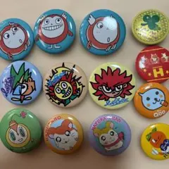 缶バッジ まとめ売り グリーンランド ポケモン - メルカリ