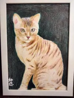 猫❤️ネコ ねこ 原画 鉛筆画 色鉛筆画 絵画 手描き イラスト - メルカリ