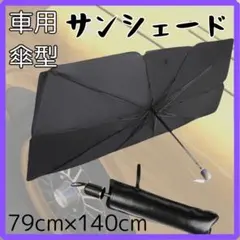 Item thumbnail for item ea5c9ee4-35c2-4062-bf57-a785a03039d7