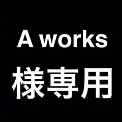A works様 リクエスト 2点 まとめ商品