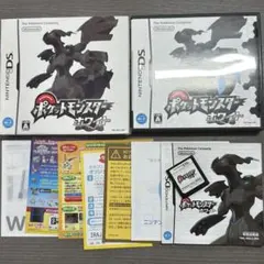 【希少配信データ有】ポケットモンスター ホワイト ジャンタのゴルーグ 完品 DS