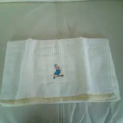 Item thumbnail for item 8aa63597-8660-48a6-a676-fe38763997b4