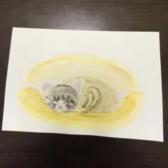 水彩画 猫　ポストカードサイズ