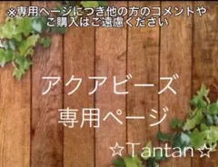 あ様専用☆アクアビーズ100個✕10袋リピ50個入り
