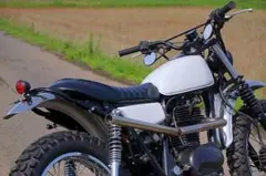 好きな色に塗装します!! ★ 250TR ★ BJ250F ★ VMXのサムネイル