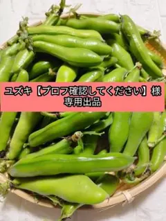 ユズキ【プロフ確認してください】様専用出品