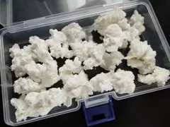 Item thumbnail for item 1093ec7a-eef4-4646-a500-5328cfca5135