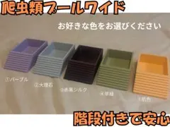 Item thumbnail for item 2a3f93e4-fd96-4cca-99a8-2436d45fd51b