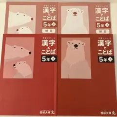四谷大塚 予習シリーズ 漢字とことば 5年 上下 解答付 漢字日記 6冊