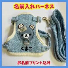 Item thumbnail for item 96802b42-2fd5-467a-8c06-7d453906b82a