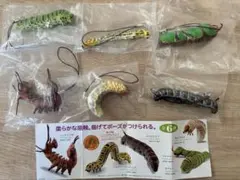 ガチャ　海洋堂 イモコレ！2 全6種
