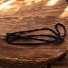 Item thumbnail for item 3333c7bc-6e03-49cb-a7ff-23ea73b2d986