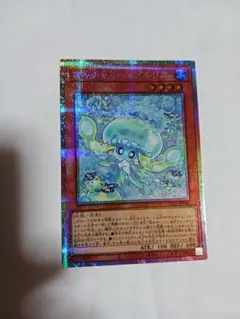 ☆アジア☆ マルチャミー フワロス プルリア シークレット6枚セット