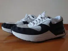 Item thumbnail for item 667070f6-ae57-499c-913e-575f54083012