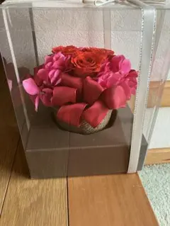 ★プリザーブドフラワー★そのまま飾れる★プレゼントに★ローズ★ケース入★赤い薔薇