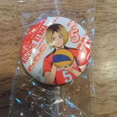 2026年最新】孤爪研磨 缶バッジ 水遊びの人気アイテム - メルカリ