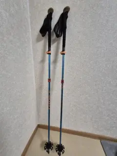 スキー 伸縮