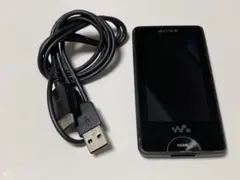 2026年最新】SONY NW-X1050の人気アイテム - メルカリ