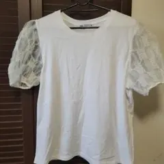 ZARA ホワイト レース袖 Tシャツ S