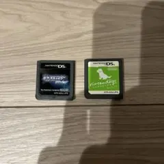 く*た様 ポケットモンスター　ダイヤモンド/ニンテンドックス