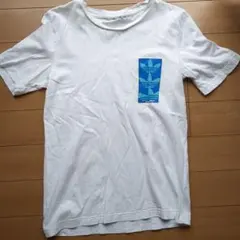 adidas Tシャツ ホワイト 青ロゴ　S